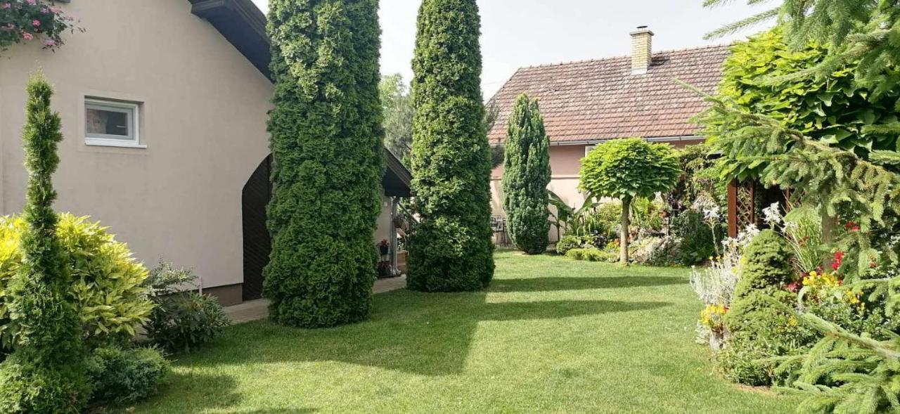 Villa Nirvana Палич Экстерьер фото
