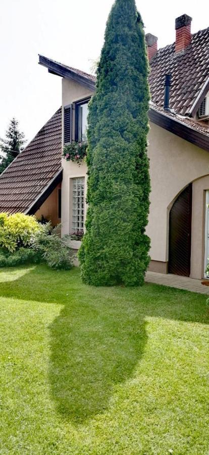 Villa Nirvana Палич Экстерьер фото