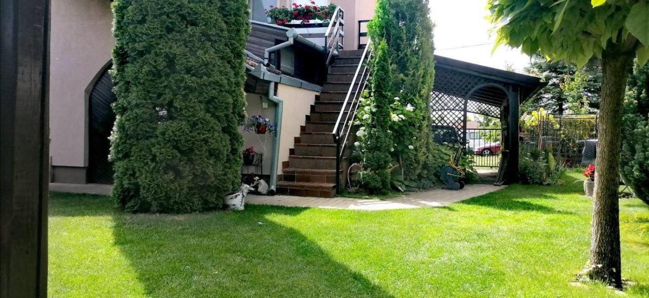 Villa Nirvana Палич Экстерьер фото