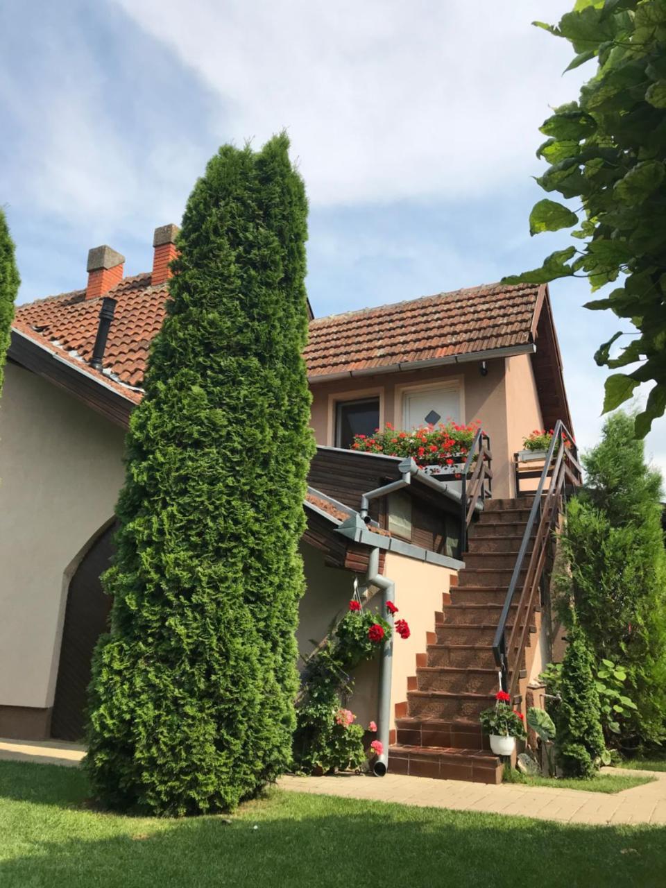 Villa Nirvana Палич Экстерьер фото